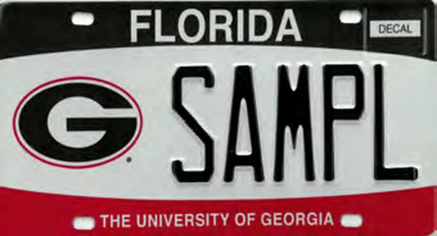 Florida University of Georgia license plate