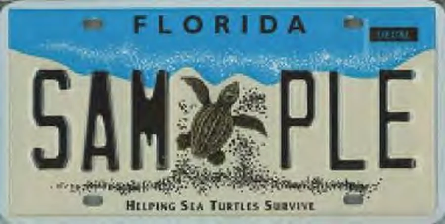 Florida Helping Sea Turtles Survive license plate